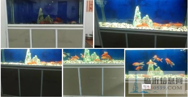 出售魚缸