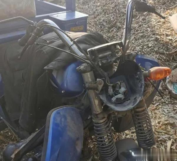 凌晨5點，臨沂河東街頭，一老人被撞身亡！肇事者逃逸后將“三輪車”藏在牛棚里…但法網(wǎng)恢恢疏而不漏