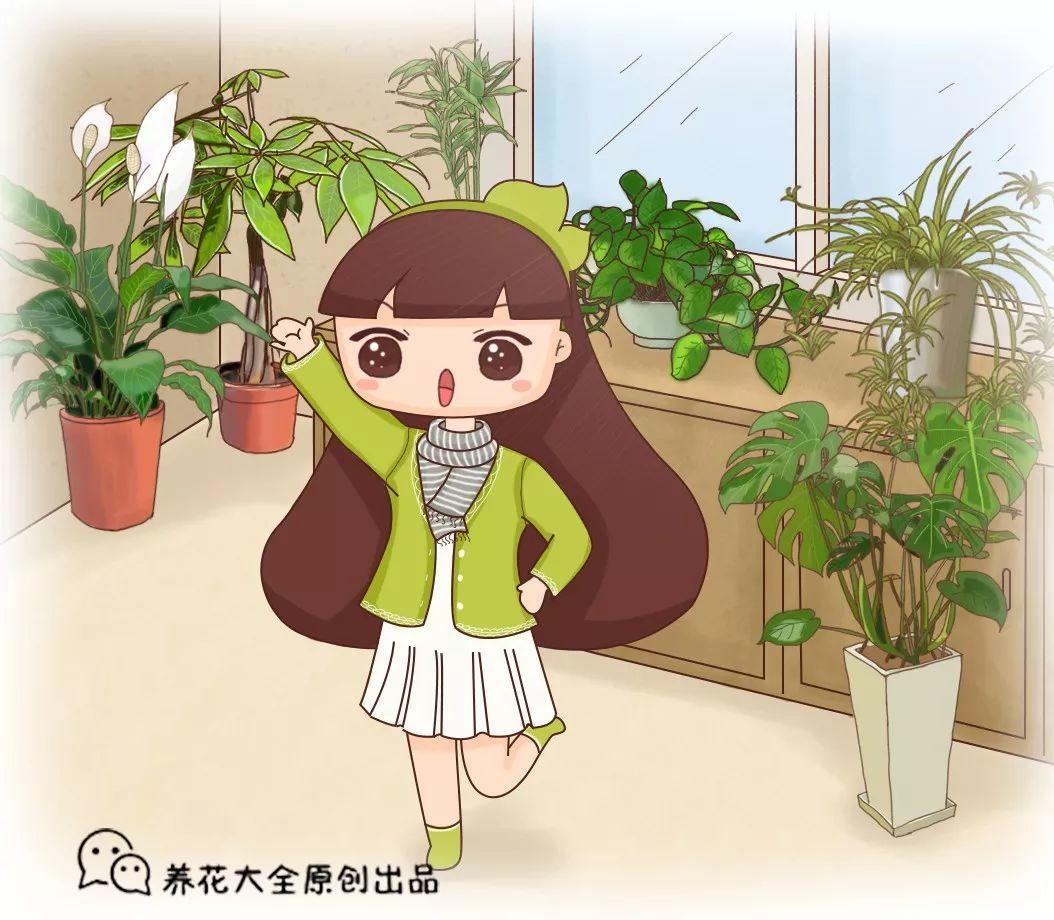 人養(yǎng)花，花也養(yǎng)人，這15種花，越養(yǎng)家里越干凈