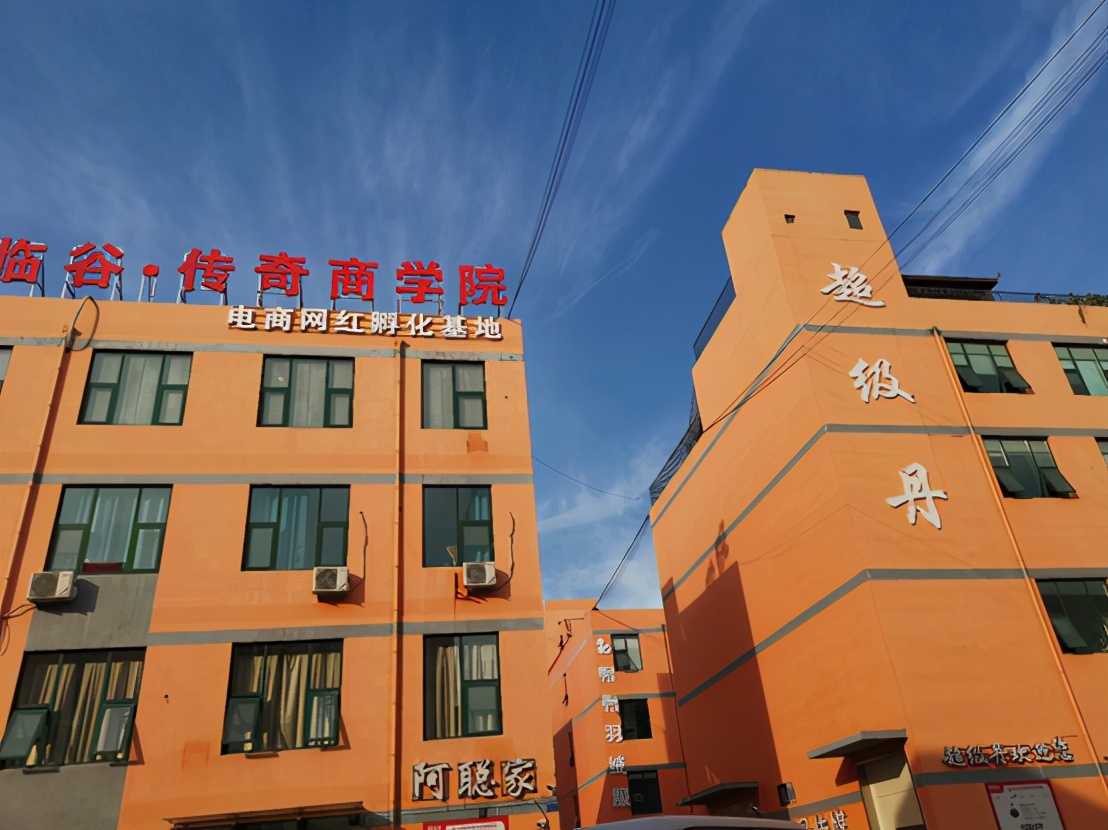 他們?yōu)槭裁磥砼R沂？被直播電商改變的“人貨場”