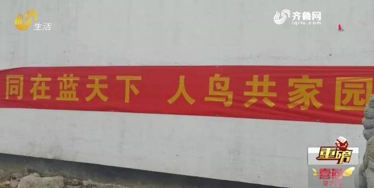 臨沂：花卉市場(chǎng)公然叫賣野生鳥類 民警現(xiàn)場(chǎng)查獲野鳥上千只