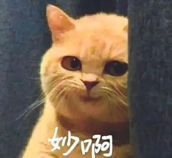 2020網(wǎng)絡(luò)流行語來了！