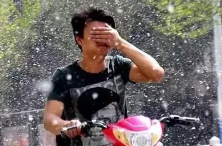 山東下“雪”？別讓四月漫天飄絮毀掉愛車！