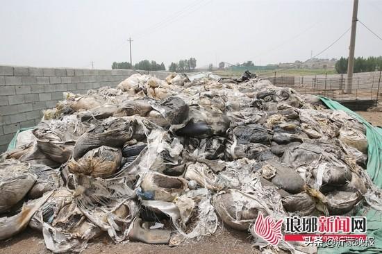 挖坑掩埋150余噸危險(xiǎn)廢物！臨沂這四人被刑拘了