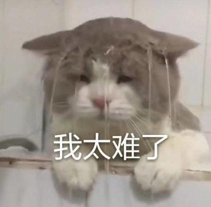 低至15℃！氣溫“小斷崖”，臨沂下周的天氣是這樣的……