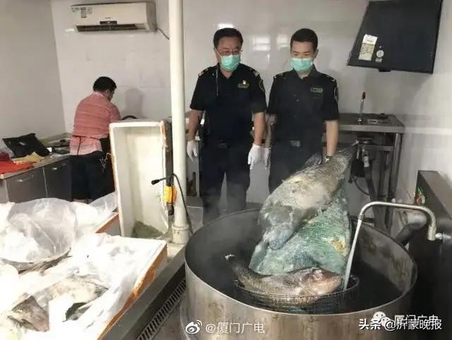 緊急攔截！全部銷毀！臨沂全市大檢查