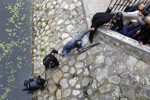 痛心！1人失足7人施救！8名落水小學(xué)生均無生命體征…警鐘再次敲響