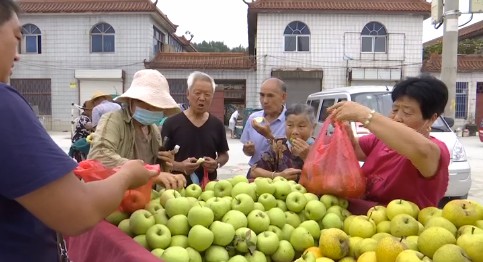 臨沂羅莊區(qū)：規(guī)范“馬路市場”提升城市形象