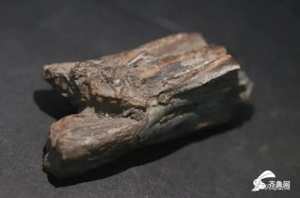 重要發(fā)現(xiàn)！臨沂發(fā)現(xiàn)一處舊石器遺址，距今約3-5萬(wàn)年