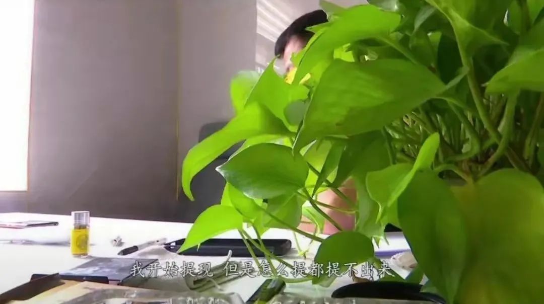 年輕貌美愛旅游 臨沂一男子認(rèn)識(shí)這個(gè)女子后，代價(jià)巨大