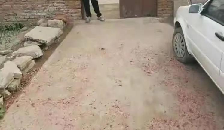 查處現(xiàn)場直擊，臨沂又有一批人被曝光！