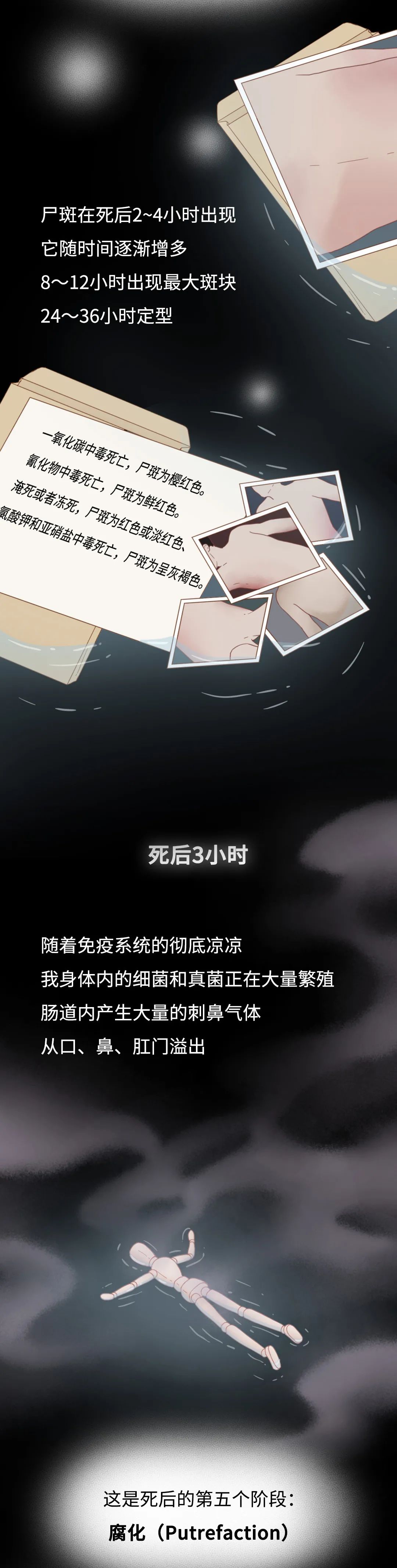 膽小勿入！人死后的24小時(shí)，身體竟會(huì)發(fā)生這些變化…