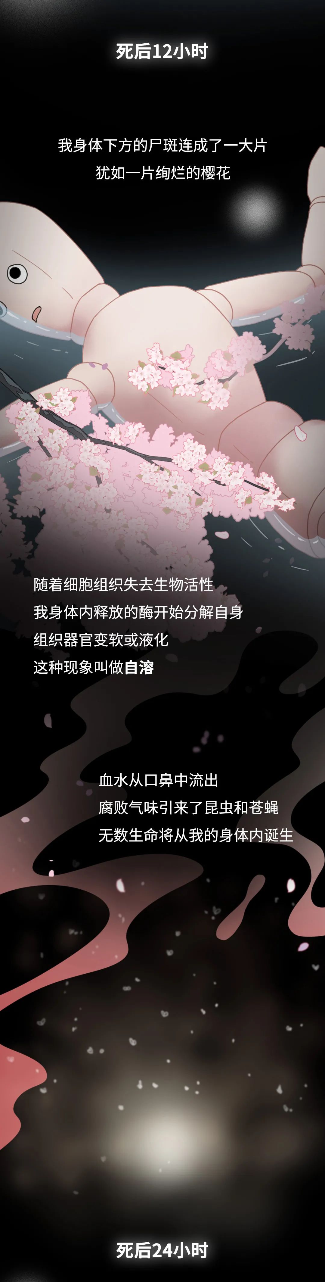 膽小勿入！人死后的24小時(shí)，身體竟會(huì)發(fā)生這些變化…