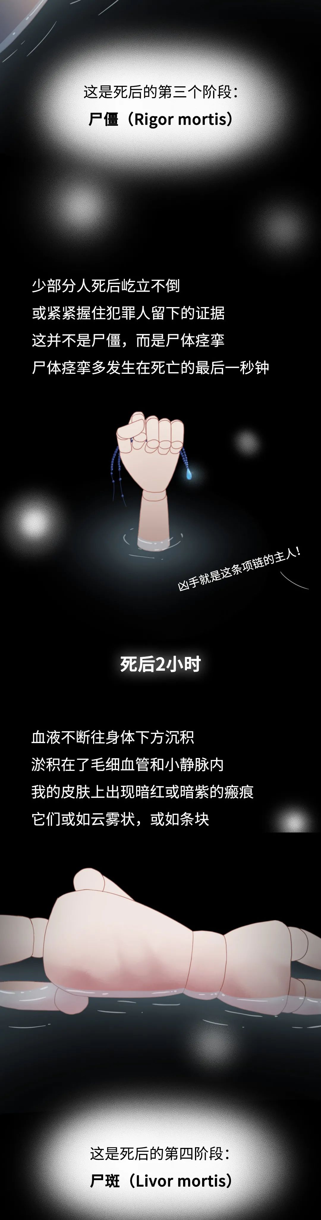 膽小勿入！人死后的24小時(shí)，身體竟會(huì)發(fā)生這些變化…