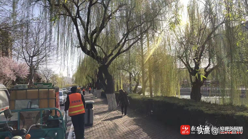 未雨綢繆 臨沂市提前打響楊柳絮治理“戰(zhàn)役”
