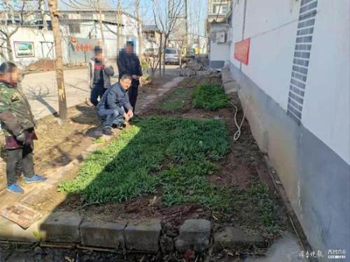 非法種植罌粟當佐料 臨沂河東一男子已被刑拘