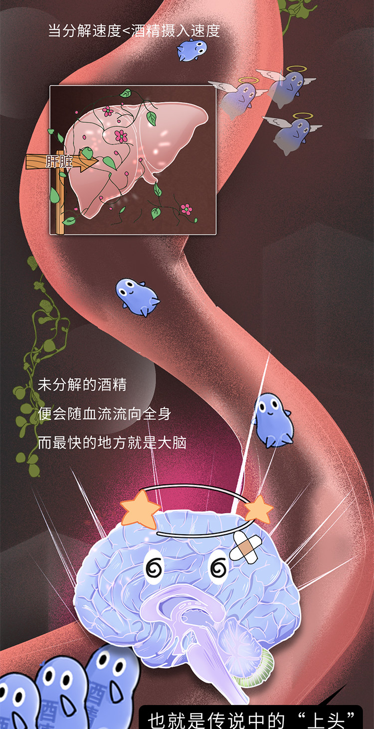 吃什么能快速解酒？蜂蜜、濃茶都沒用！真正有效的方法是這2個