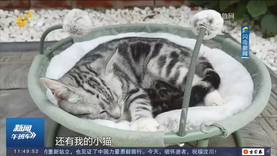 臨沂男子爆改農(nóng)村小院超一億人圍觀