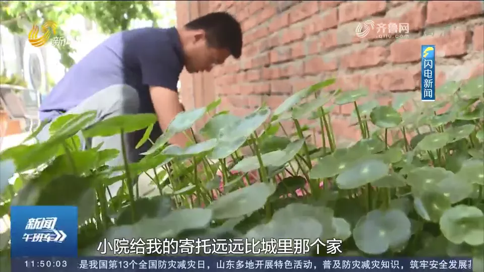 臨沂男子爆改農(nóng)村小院超一億人圍觀