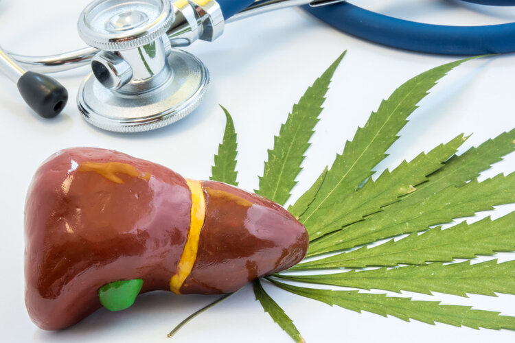 膽囊對(duì)人體有多重要？切除有何后果？膽囊切除4大疑問一次說(shuō)清