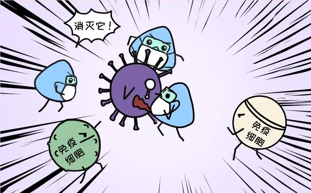 3針新冠疫苗效果最好？1針、2針、3針疫苗有什么區(qū)別？醫(yī)生告訴你