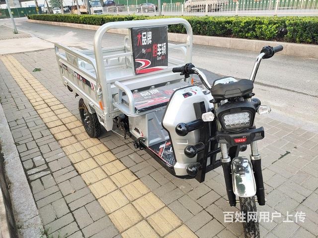 大將電動三輪車（9.9成新