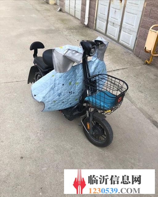 去年的雅迪電動車