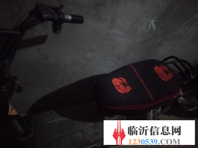 金彭電動車