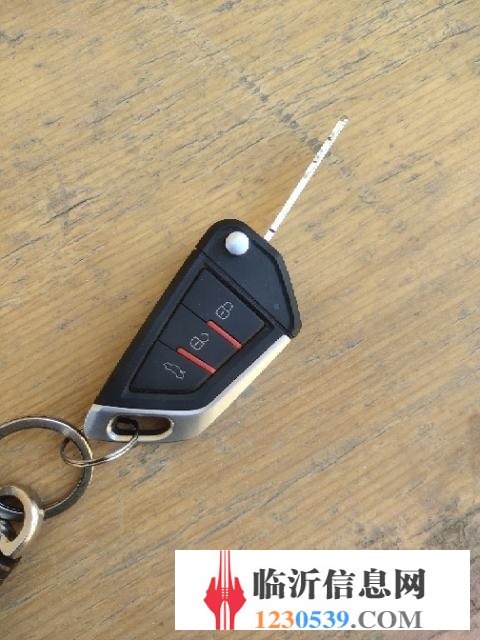 急轉(zhuǎn)寶雅低速電動汽車