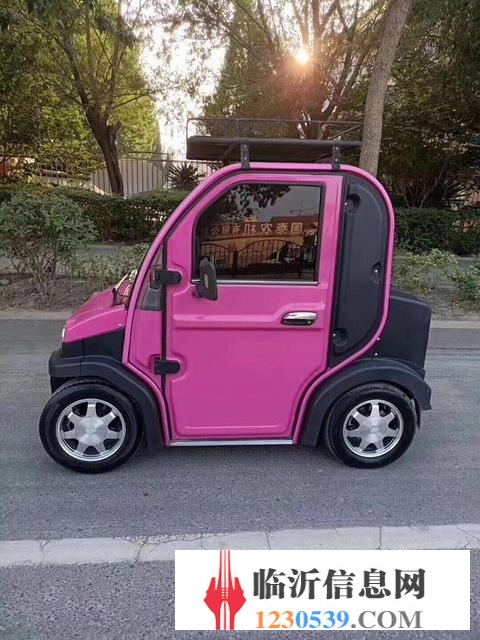 電動汽車 老年代步車