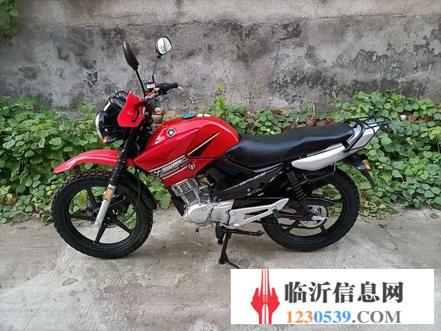 臨沂大量出售精品太子-精品踏板摩托車出售-全部精品