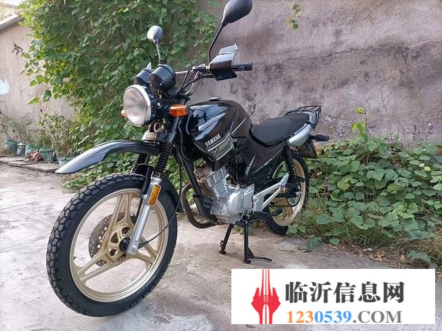 臨沂大量出售精品太子-精品踏板摩托車出售-全部精品