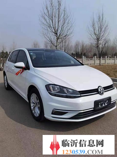 大眾Golf [高爾夫] 2018款 e-Golf e-Go