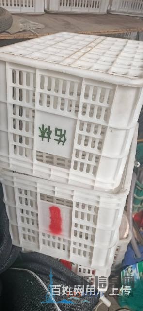 閑置水果框出售