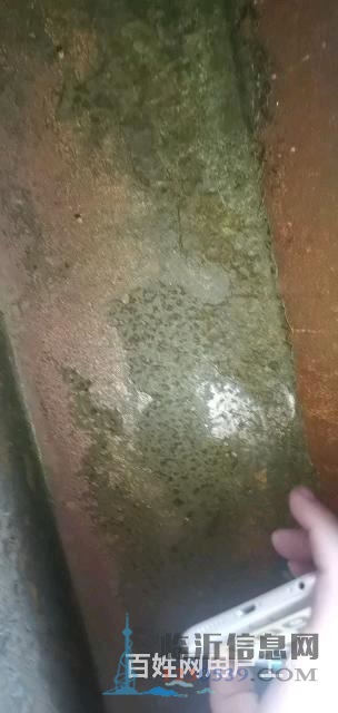九成新研磨機全銅電機