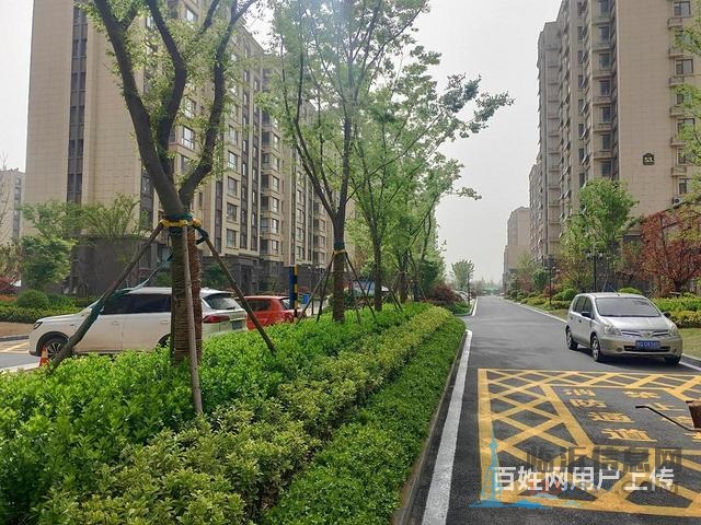 德馨園 精裝現(xiàn)房全明戶型 南北通透 戶型圖真實(shí) 隨時(shí)看房