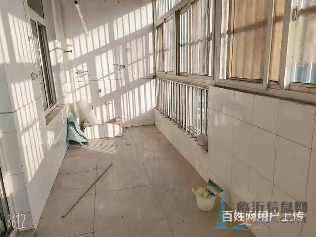 免 稅，真實(shí)圖片，低樓層大三室，好采光，雙氣入戶，怡情園