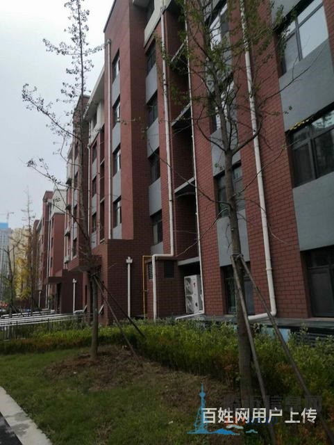 88萬(wàn)北園小區(qū)附近2007年新房全明戶型帶儲(chǔ)藏室有鑰匙