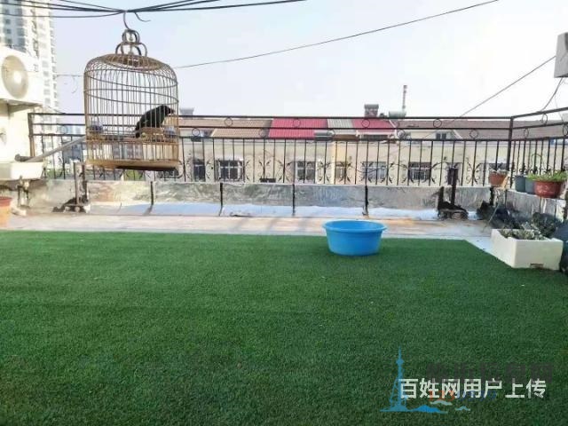 錦園大廈 一室精裝帶大平臺 急售證過二九年沂州實驗