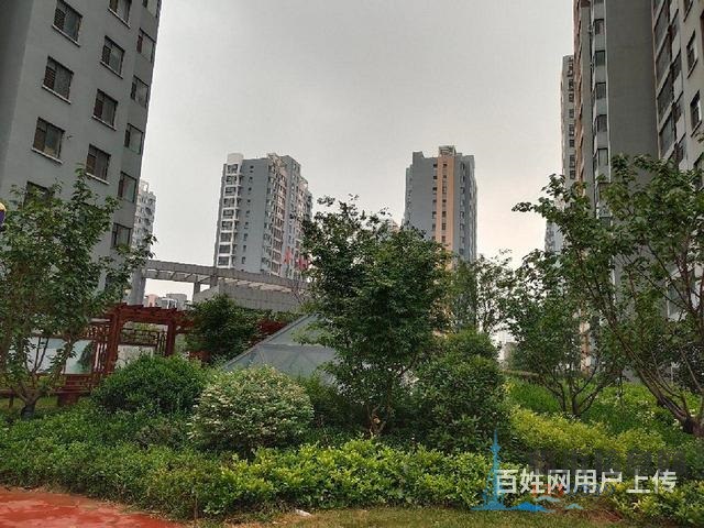 精裝修證過(guò)二，金陽(yáng)花園3室2廳2衛(wèi)好樓層邊套誠(chéng)心出售