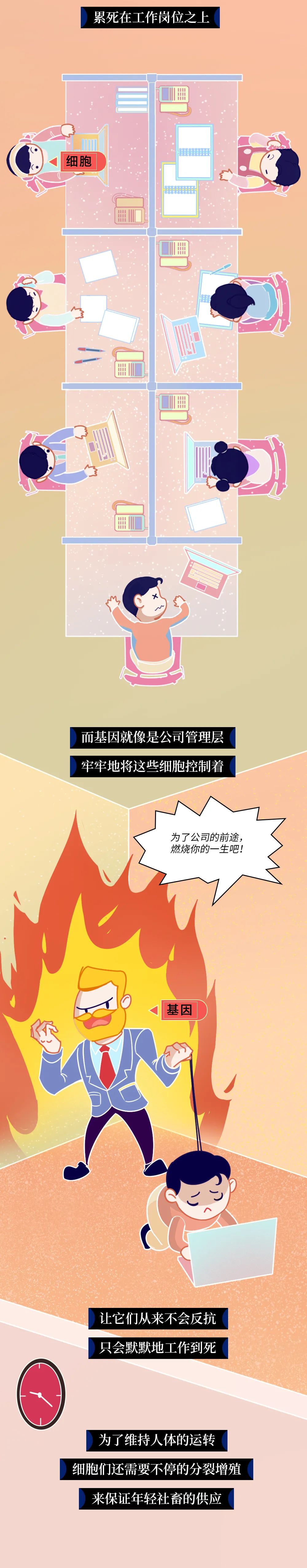 人體發(fā)生癌癥的全過程曝光