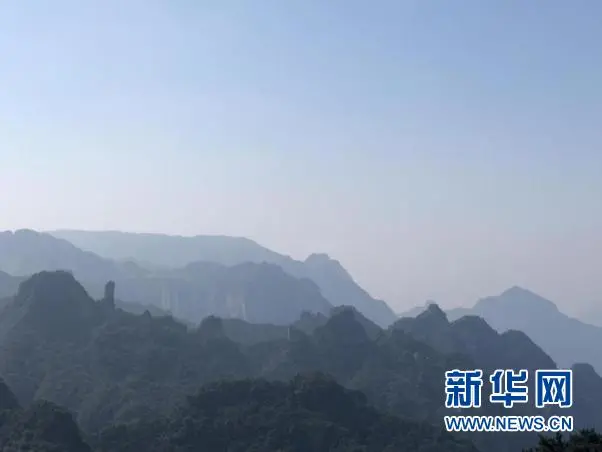 臨沂人這個(gè)證千萬別丟！官宣：免費(fèi)