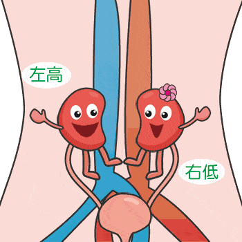 愛(ài)出汗就是腎虛？年輕人，這些常見(jiàn)行為正在傷害你的腎！