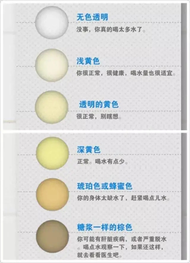 愛(ài)出汗就是腎虛？年輕人，這些常見(jiàn)行為正在傷害你的腎！
