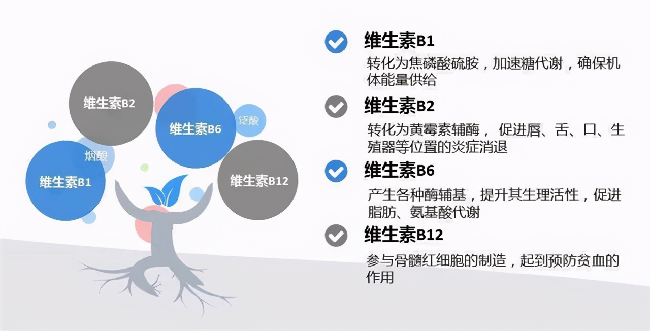 有一種痛，叫口腔潰瘍，補充維C不頂用，這些辦法才靠譜