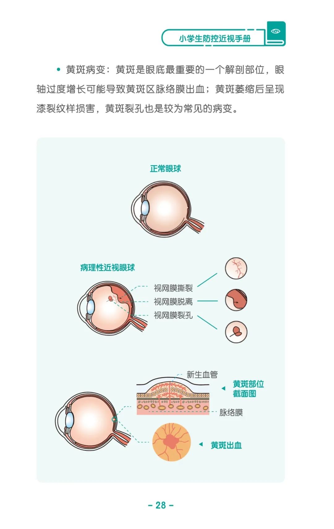 收藏！《兒童青少年防控近視系列手冊》之小學生篇