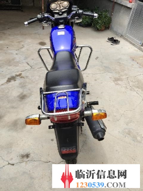 精品國三鉆豹王