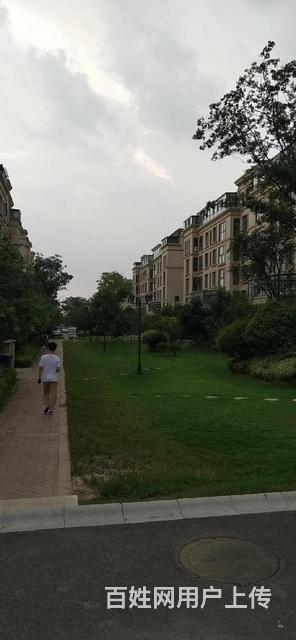 首付五萬 掌舵龍湖 一手房源不收取您任何費用