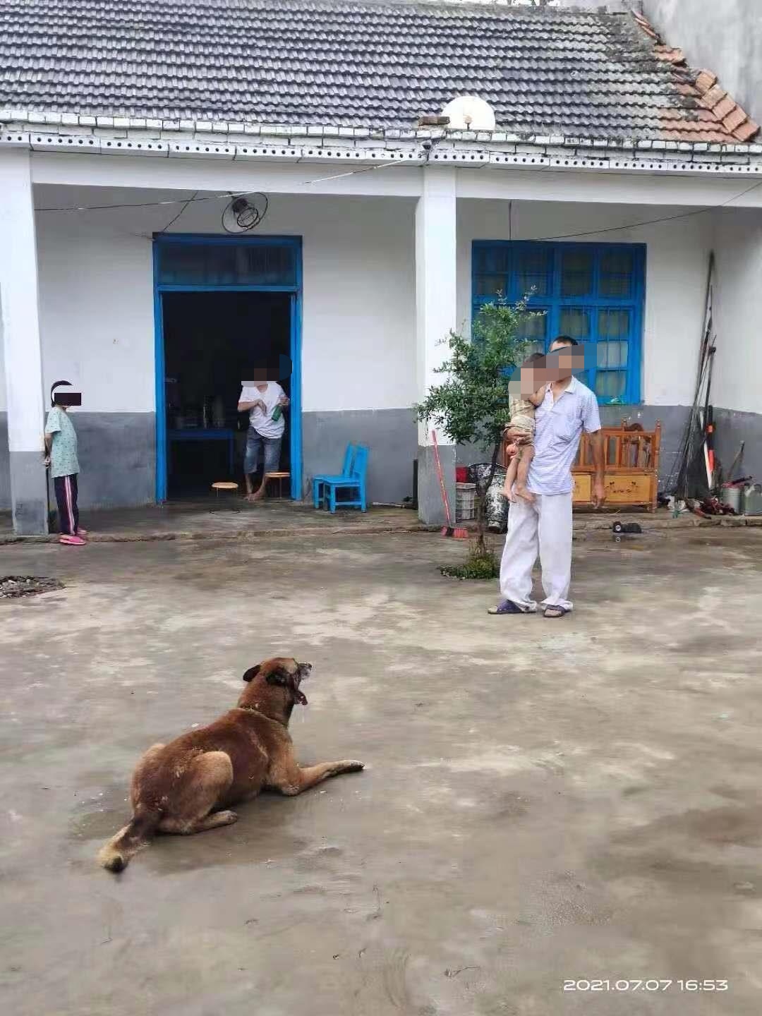 男子與智障女子生9娃引關(guān)注，鎮(zhèn)政府：8個孩子已落戶，積極做當(dāng)事人節(jié)育工作，男子表示不再生