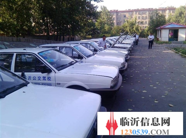 學(xué)車拿證就打這個電話：18953978729